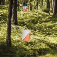 Orienteering Sport Russia APK