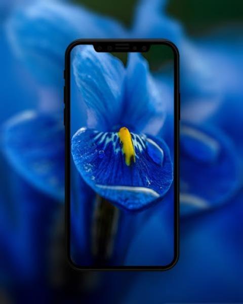 Blue Wallpapers HD  Screenshot 4