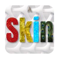 Skin Theme APK