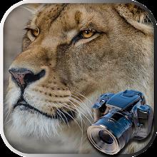 Hidden Animals: Photo Hunt APK