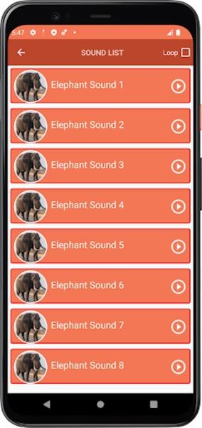 Elephant Sounds  Screenshot 1