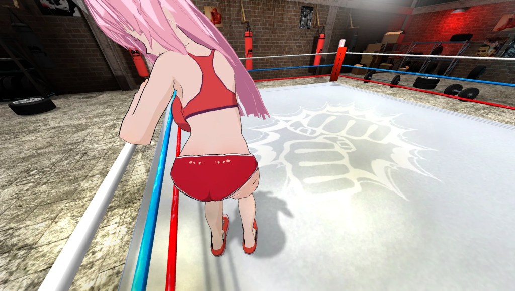 Hentai Fighters VR  Screenshot 1