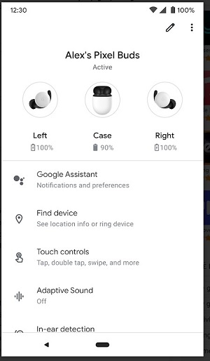 Google Pixel Buds  Screenshot 2