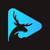 Stag VPN APK