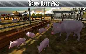 Euro Farm Simulator: Pigs  Screenshot 7