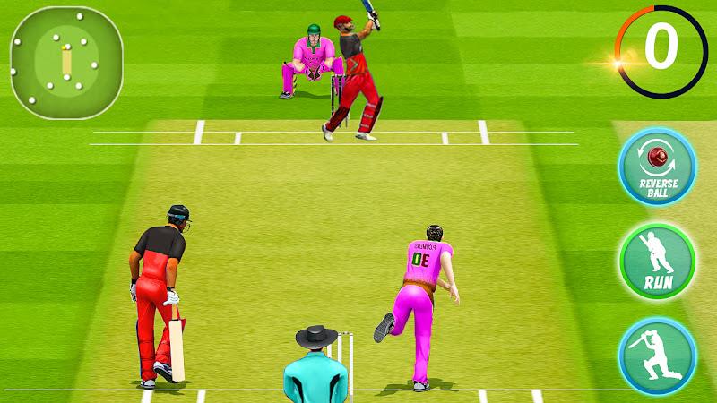 World Cricket Match Simulator  Screenshot 1