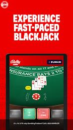 Bally Casino: Roulette & Slots  Screenshot 21