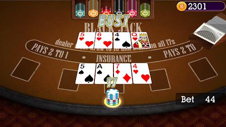 Casino Blackjack  Screenshot 18