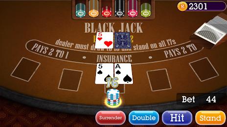 Casino Blackjack  Screenshot 9