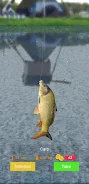 Bobber Fishing  Screenshot 2