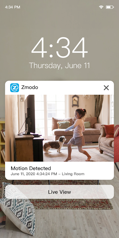 Zmodo  Screenshot 6