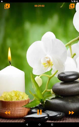 Relaxing Spa Music  Screenshot 17