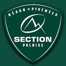 Section Paloise APK