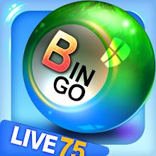 Bingo City 75: Bingo & Slots APK