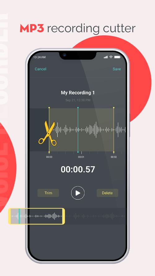 Audio Recorder  Screenshot 2
