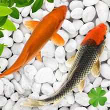 4k Koi Fish Live Wallpapers 3D APK