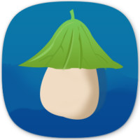 冬瓜视频 APK