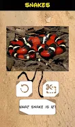 Automatic Snake Identifier  Screenshot 6