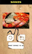 Automatic Snake Identifier  Screenshot 1