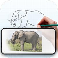 Draw: Trace & Sketch APK