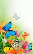 Butterfly Live Wallpaper  Screenshot 3