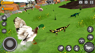 Virtual Duck Family Game 3D  Screenshot 1