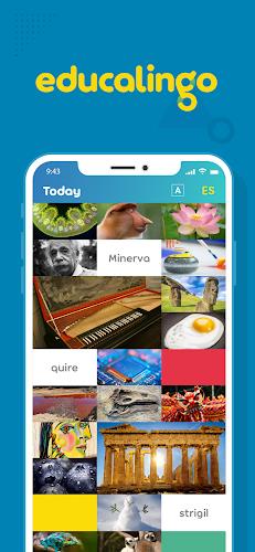 Educalingo  Screenshot 1