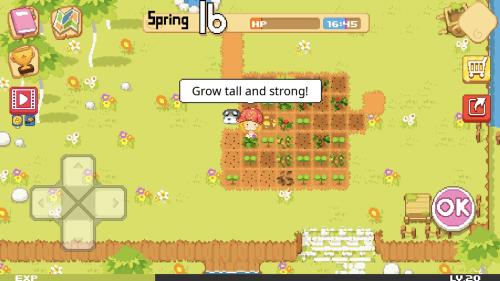 The Farm: Sassy Princess  Screenshot 2