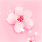 樱花草视频 APK