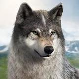 Wolf Game: The Wild Kingdom APK