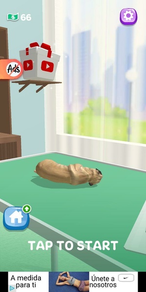 Paw Care  Screenshot 7