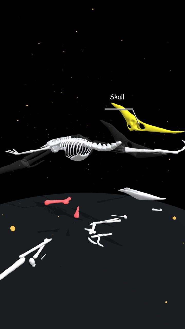 Assemble Skeleton  Screenshot 5