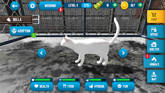 Animal Shelter Simulator  Screenshot 6