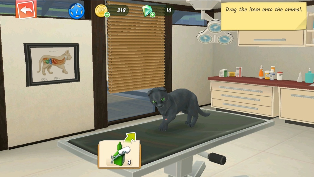 Pet World – My Animal Hospital  Screenshot 5