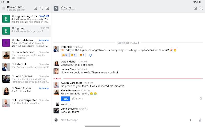 Rocket.Chat Experimental  Screenshot 11