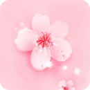 桃花直播最新版 APK