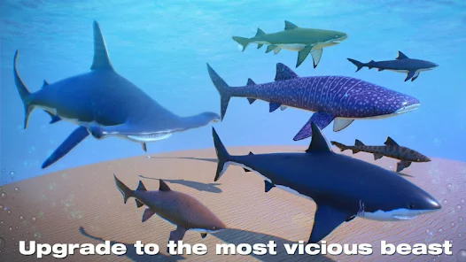 Shark Simulator 2019  Screenshot 3