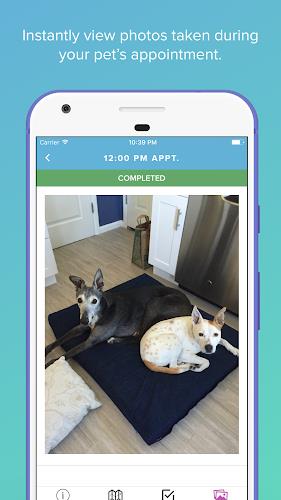 Scout for Pet Owners  Screenshot 5