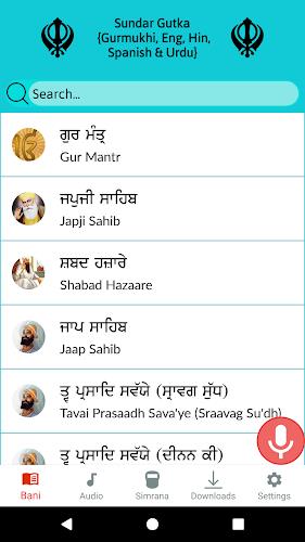 Nitnem (ਨਿਤਨੇਮ) - Sundar Gutka  Screenshot 3