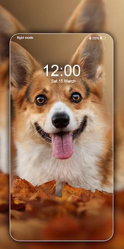 Dog Wallpapers Cute Puppy 4K  Screenshot 2