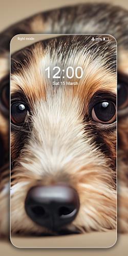 Dog Wallpapers Cute Puppy 4K  Screenshot 5