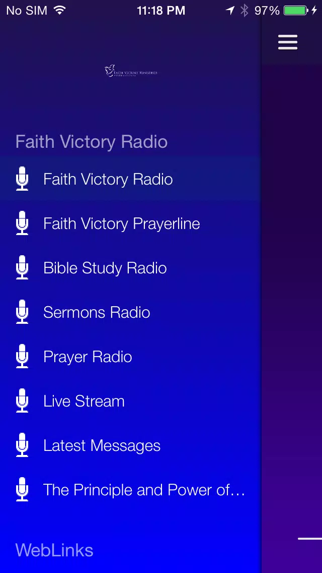 FVM  Screenshot 2