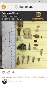 myFOSSIL  Screenshot 3