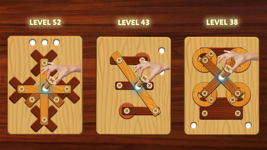 Nuts & Bolts Screw Puzzle Wood  Screenshot 2