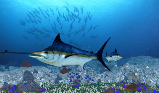 The Blue Marlin  Screenshot 1