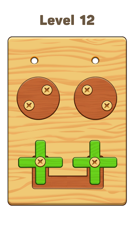 Screw Nuts & Bolts: Wood Solve  Screenshot 4