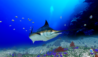 The Blue Marlin  Screenshot 2