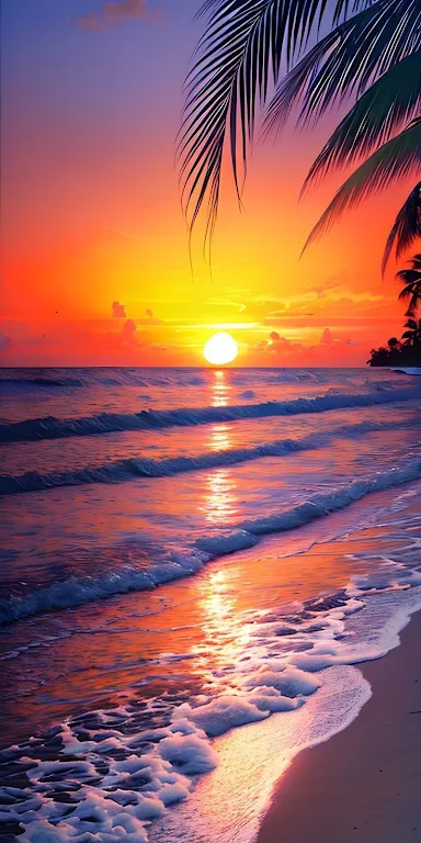 Sunset Wallpapers  Screenshot 3