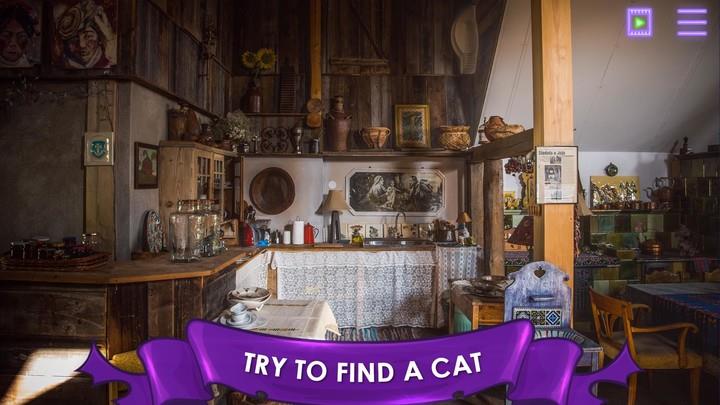 Find a Cat: Hidden Object  Screenshot 1