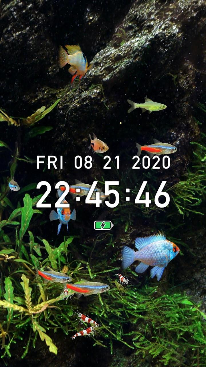 Tropical Fish Tank - Mini Aqua  Screenshot 2